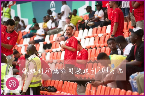 张继科所属公司被追讨204万元