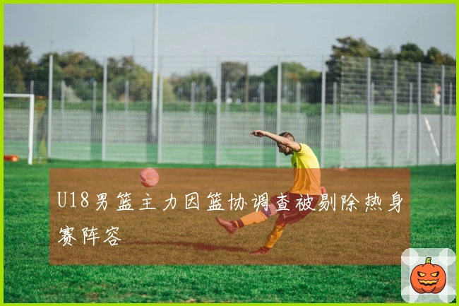U18男篮主力因篮协调查被剔除热身赛阵容
