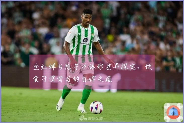 全红婵与陈芋汐体形差异探究，饮食习惯背后的自律之道