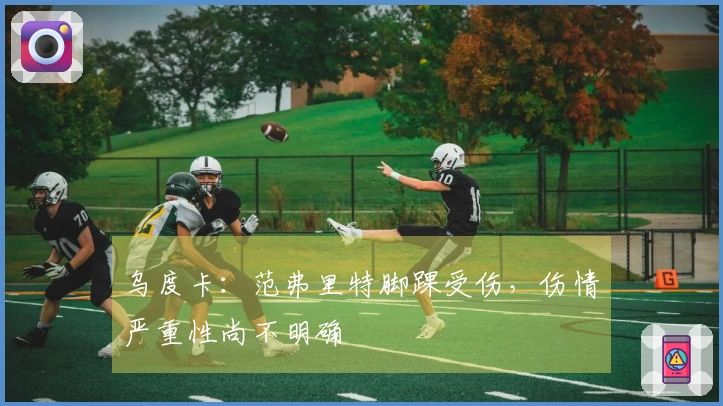 乌度卡：范弗里特脚踝受伤，伤情严重性尚不明确